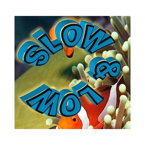 JACKET SLOW&LOW